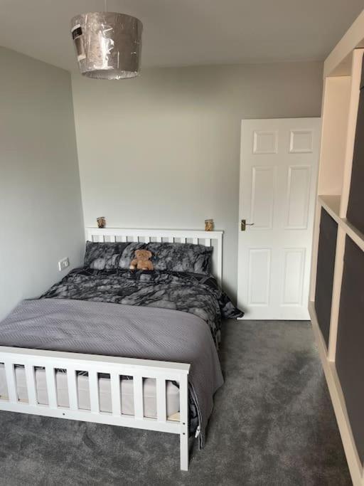 Fantastic Full 3 Bedroom Modern Apartment Belfast Ngoại thất bức ảnh