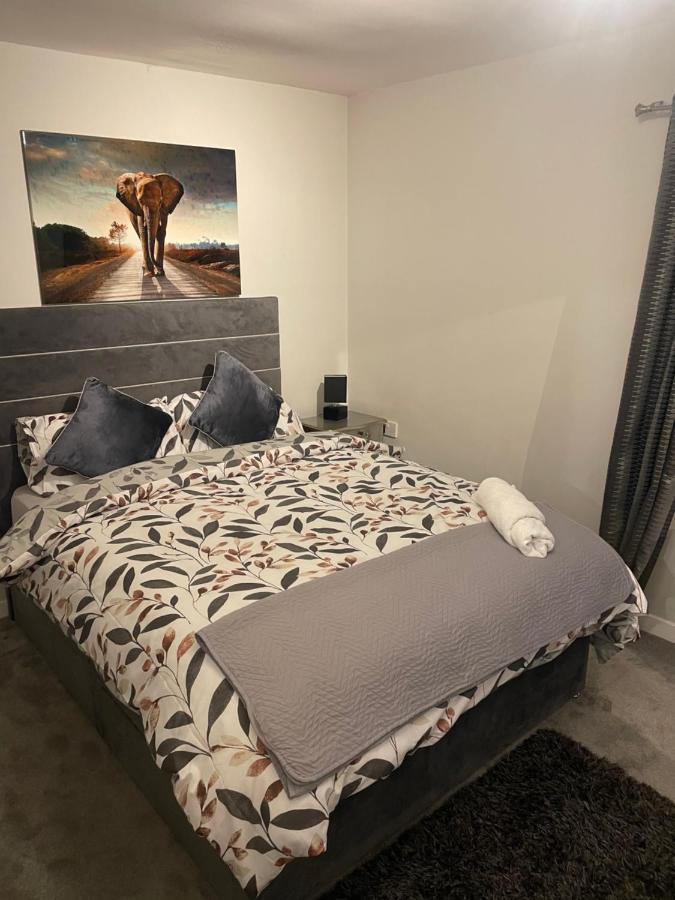 Fantastic Full 3 Bedroom Modern Apartment Belfast Ngoại thất bức ảnh